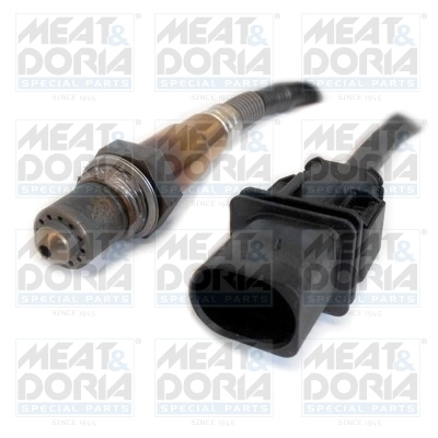 Oxygen Sensor